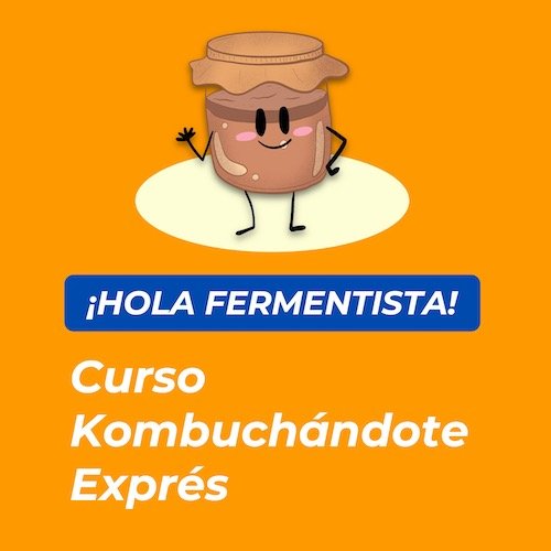 Curso Kombuchándote Exprés
