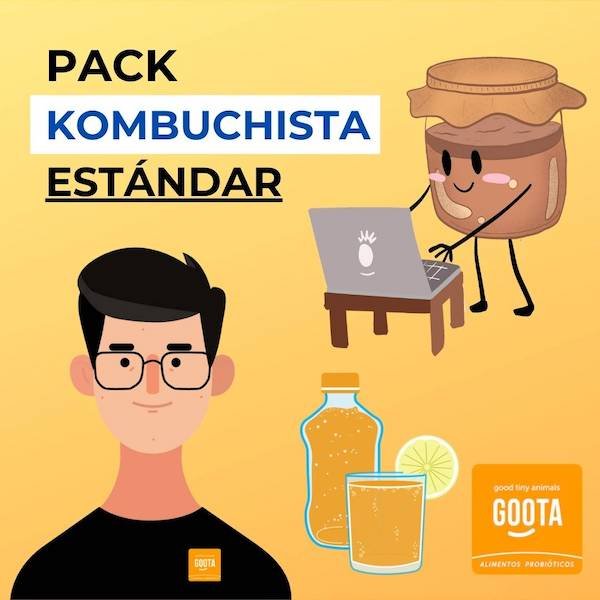 Pack Kombuchista Estándar