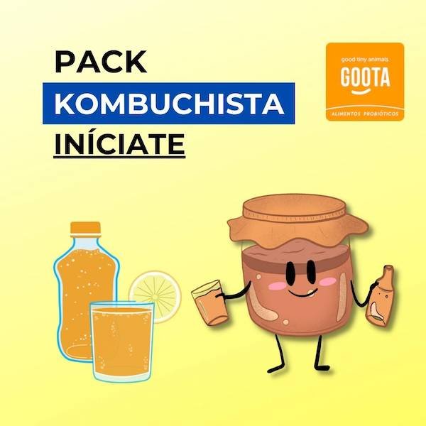 Pack Kombuchista Iníciate