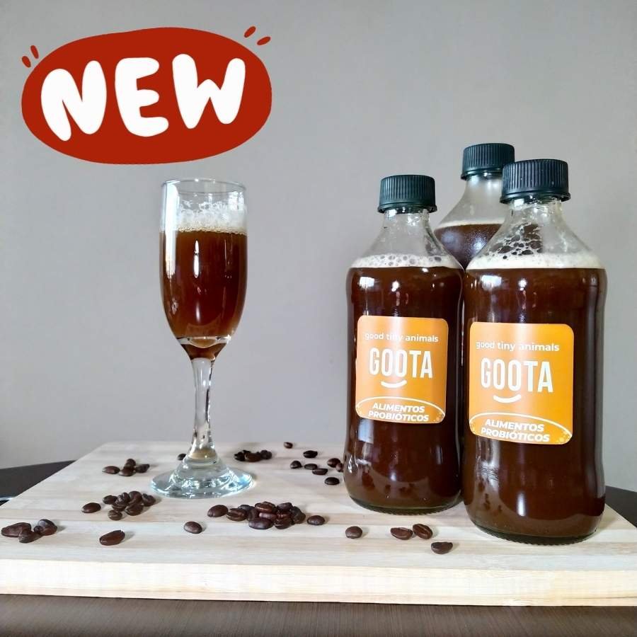 Komfy Kombucha de café